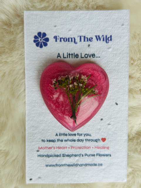 A Little Love with Shepherd's Purse Flowers-Large