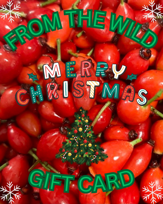 MERRY CHRISTMAS GIFT CARD