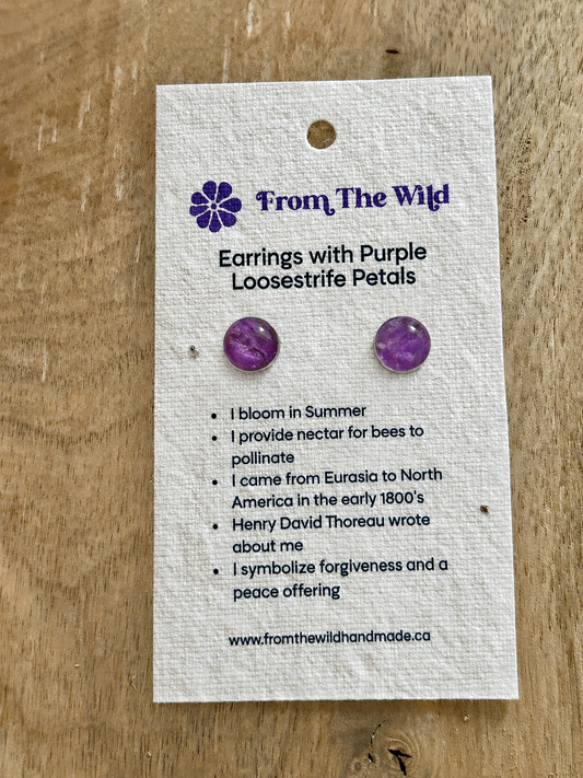 Earrings with Purple Loosestrife Petals